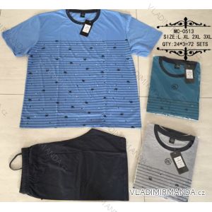 Herrenpyjama kurz (L-3XL) N-FEEL NFL20MC-0513
