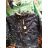 Damen Softshelljacke (m-3xl) VINTE VIN19LM-8839
