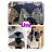 Winterjacke (UNI S/L) POLISHE Mode SSW20413