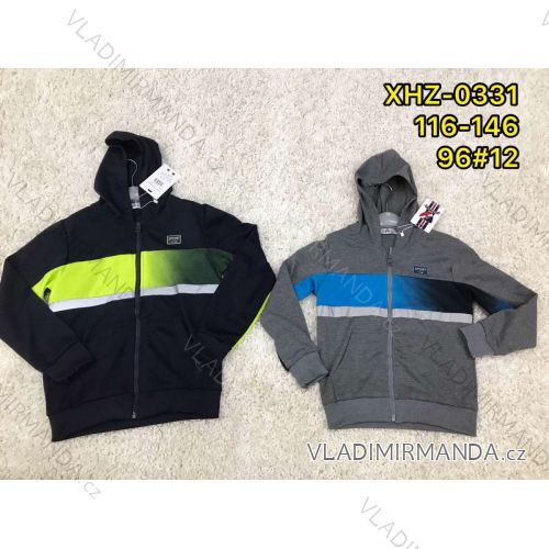Kapuzenpullover mit Kapuze für Jungen (116-146) ACTIVE SPORT ACT21XHZ-0331