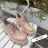 Schuhkatalog OBM210110