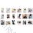 Schuhkatalog OBT210124