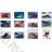 Schuhkatalog OBT210130