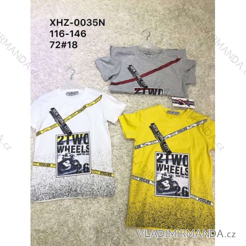 T-Shirt Kurzarm Jugendjungen (134-164) ACTIVE SPORT ACT208P-8126