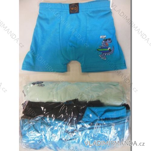 Boxen Jungen und Kinder Jungen Dinosaurier (2-6 Jahre) WD WD04W