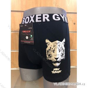 Boxer Männer (M-2XL) BOXER BOX19JM-621