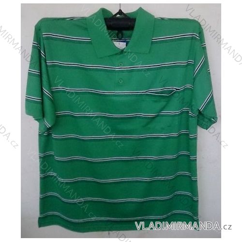 Herren Poloshirt (l-3xl) BATY PNAM-SOC NHO-BE
