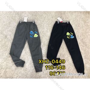 Jogginghose, leicht, Jungen Jungen (116-146) ACTIVE SPORT ACT21XHZ-0449