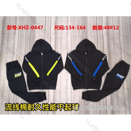 Set Kapuzen-Sweatshirt mit Reißverschluss und Jogginghose Jungen (134-164) ACTIVE SPORT ACT21XHZ-0447