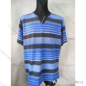 T-Shirt Kurzarm Herren übergroß (2xl-5xl) DYNAMIC 142/135/2125
