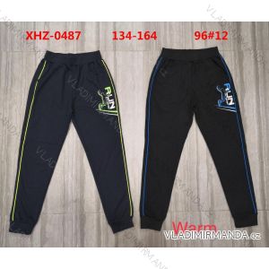 Herren Trainingshose (134-164 ACTIVE SPORT ACT21SJ-9279 .)