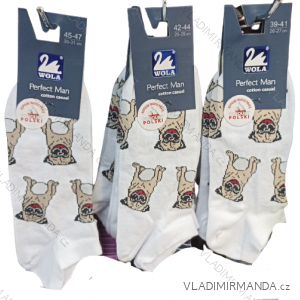 Ponožky veselé  pánské (42-46) POLSKÁ MÓDA DPP21299