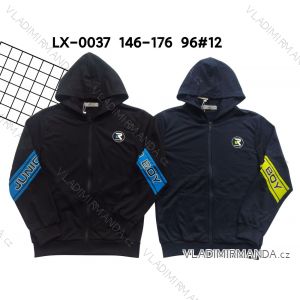 Hoodie für Jungen (146-176) ACTIVE SPORT ACT22LX-0037