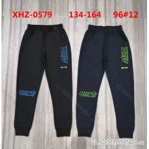 Lange Jogginghose für Jungen (134-164) ACTIVE SPORT ACT22XHZ-0579