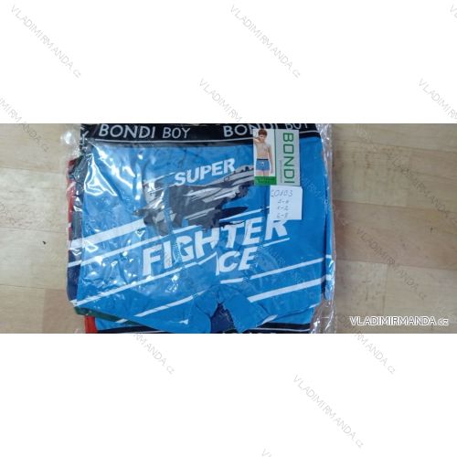 Herren-Boxershorts (L-3XL) Bondi BON2221-0146