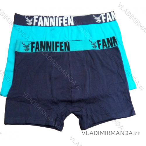 Herren Boxershorts Baumwolle (L-3XL) FANNIFEN  PES22G55450-K Farbmischung M