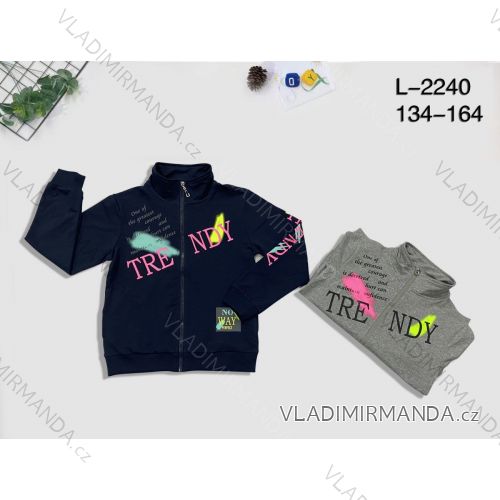 Pullover Welpen für Mädchen (134-164) SEPTEM TEP-77